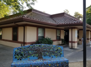 "Tree of Life" mosaic bench outside the Davis Senior Canter